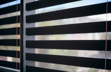 Classic Zebra Blinds