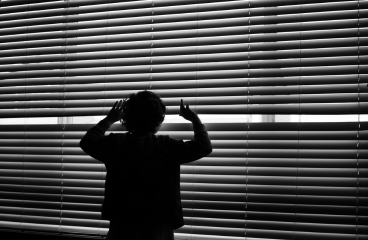 Dual Opacity Silhouette Blinds