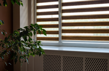 Zebra Roller Shades